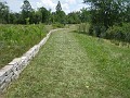 Matthaei Botanical Gardens 2010 0060
